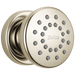 Delta 50102 Surface Mount Body Spray, polished nickel