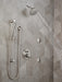 Delta Grail: Premium Single-Setting Slide Bar Hand Shower