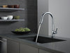 Delta Essa 9113TV VoiceIQ Single Handle Pull-Down Faucet with TouchTouch 2O Technology