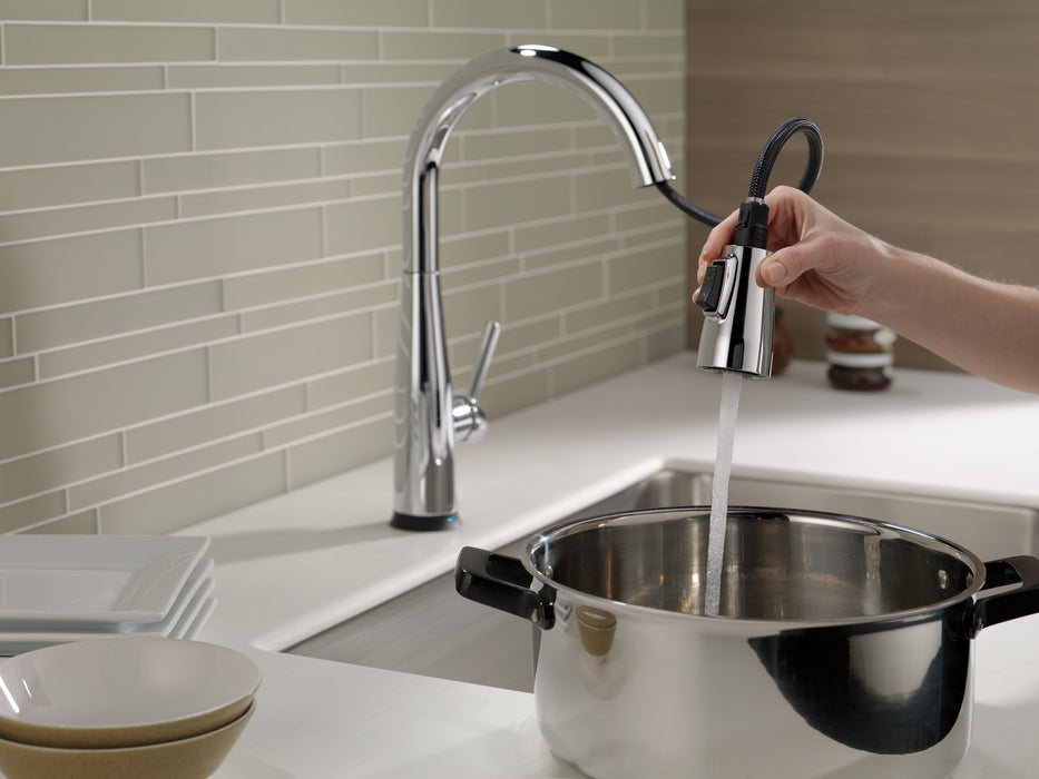 Delta Essa 9113TV VoiceIQ Single Handle Pull-Down Faucet with TouchTouch 2O Technology