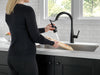 Delta Essa 9113TV VoiceIQ Single Handle Pull-Down Faucet with TouchTouch 2O Technology