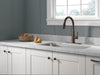 Delta Essa 9113TV VoiceIQ Single Handle Pull-Down Faucet with TouchTouch 2O Technology