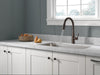 Delta Essa 9113TV VoiceIQ Single Handle Pull-Down Faucet with TouchTouch 2O Technology