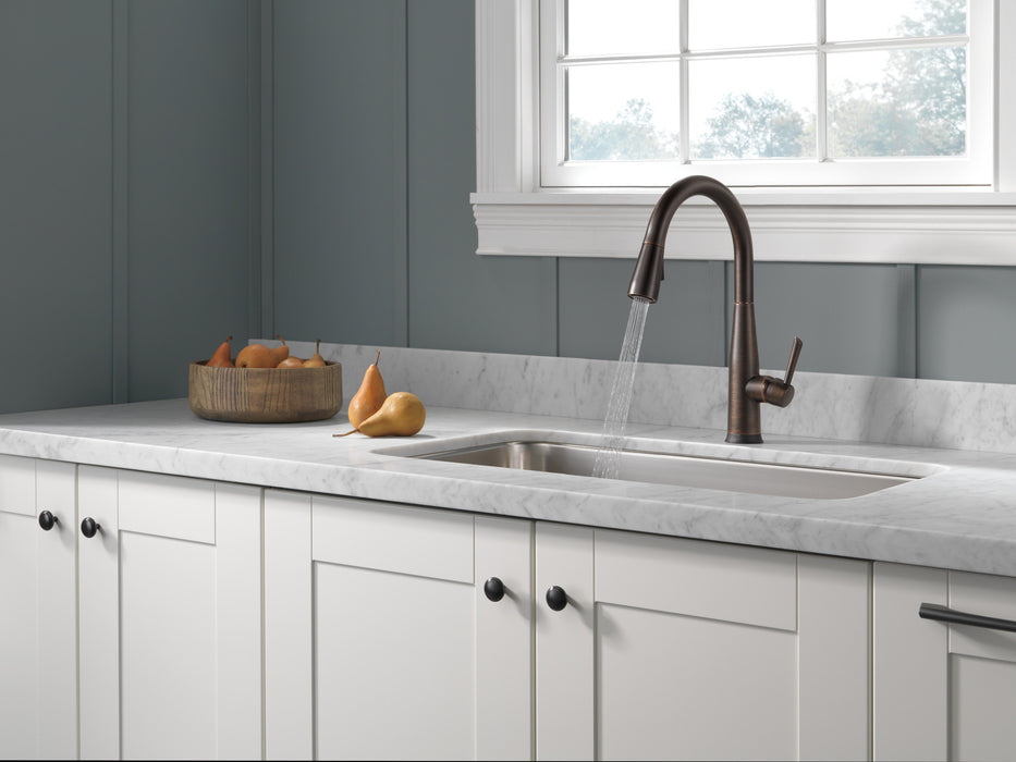 Delta Essa 9113TV VoiceIQ Single Handle Pull-Down Faucet with TouchTouch 2O Technology