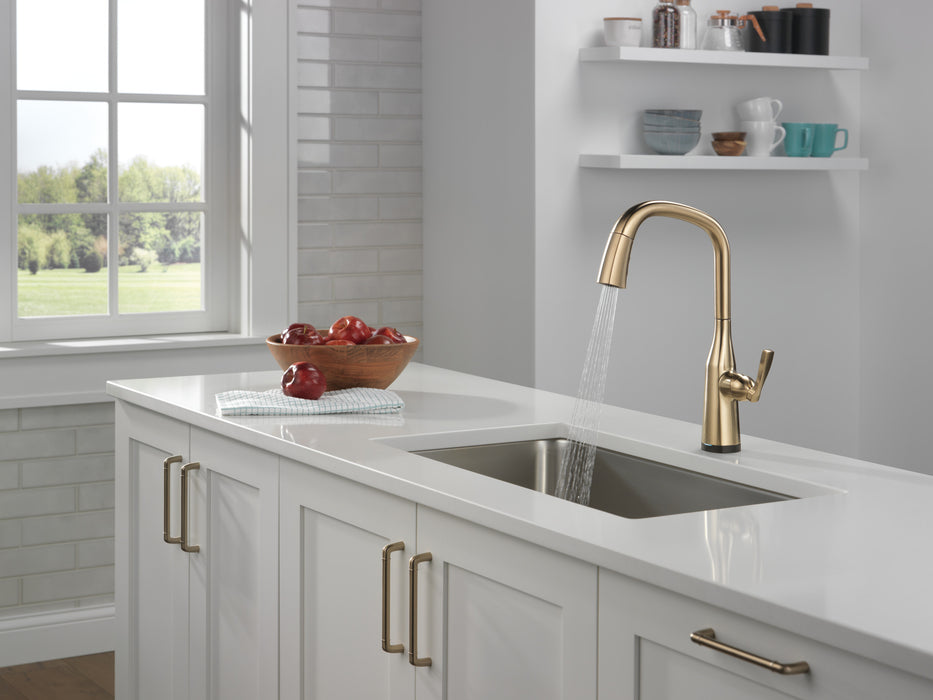 Delta Stryke 9176T Single Handle Pull-Down Kitchen Faucet with TouchTouch 2O Technology