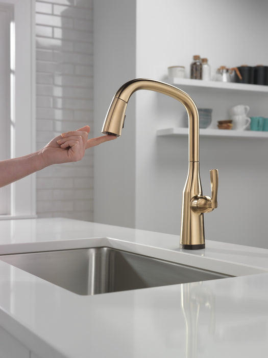 Delta Stryke 9176TV TouchTouch 2O Pull-Down Kitchen w/ Voice