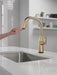 Delta Stryke 9176TV TouchTouch 2O Pull-Down Kitchen w/ Voice