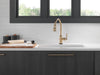 Delta Broderick™: Single Handle Pull-Down Kitchen Faucet With Touch2O Technology