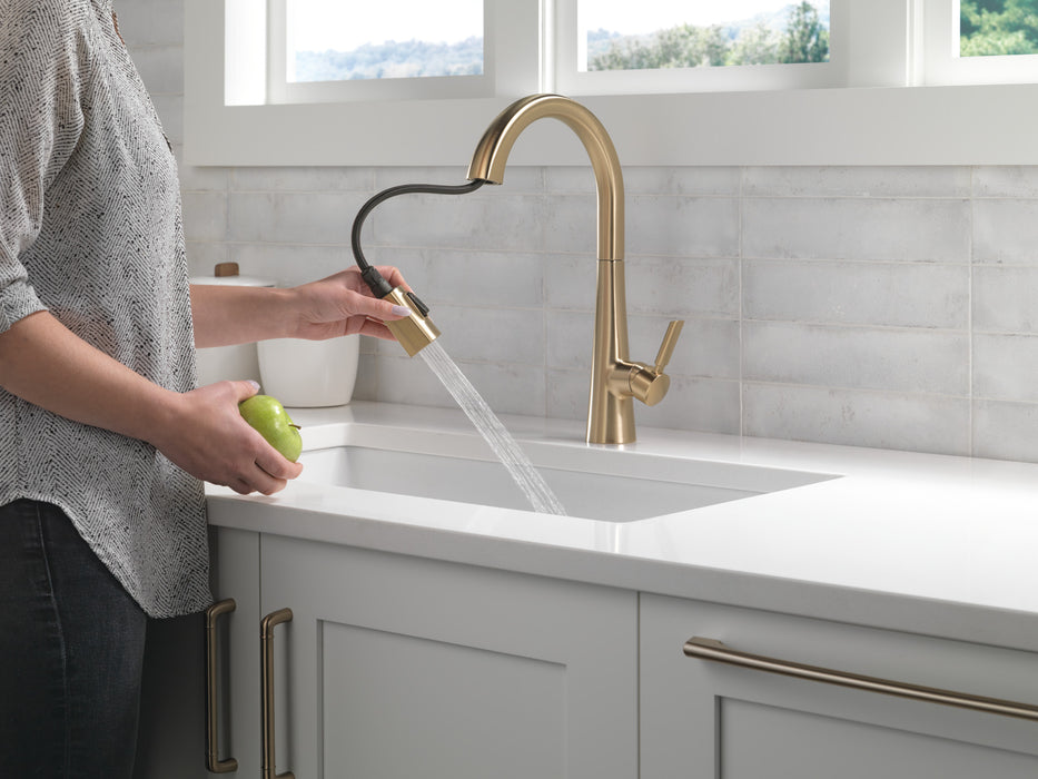 Delta Monrovia: Single Handle Pull-Down Kitchen Faucet