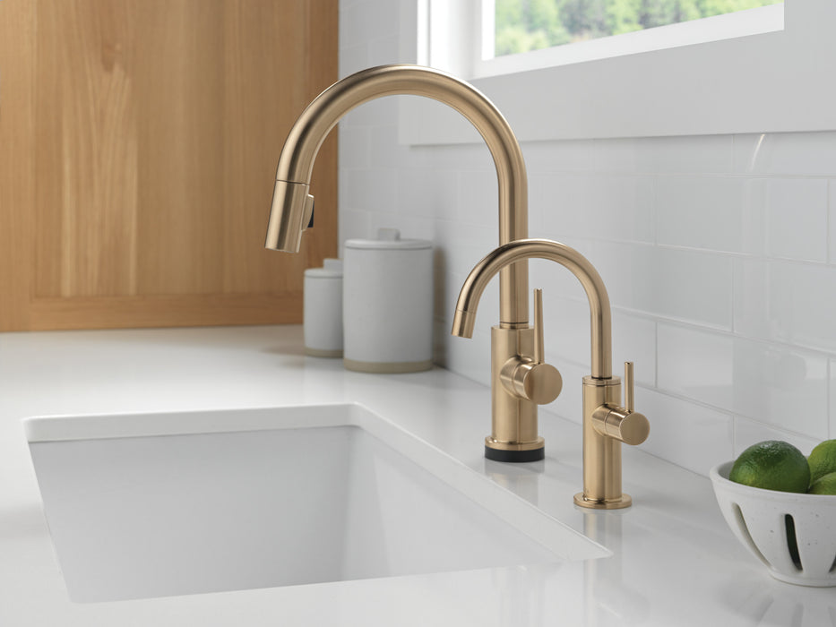 Delta Other: Contemporary Round Beverage Faucet