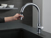 Delta Trinsic: Single Handle Pull-Down Kitchen Faucet