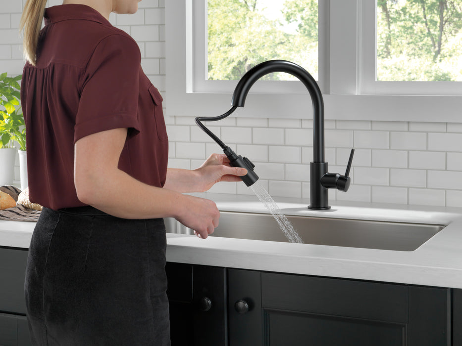 Delta Trinsic: Single Handle Pull-Down Kitchen Faucet