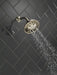 Delta Universal Showering Components 52669 H2OKINETIC 5-Setting Traditional Raincan Shower Head