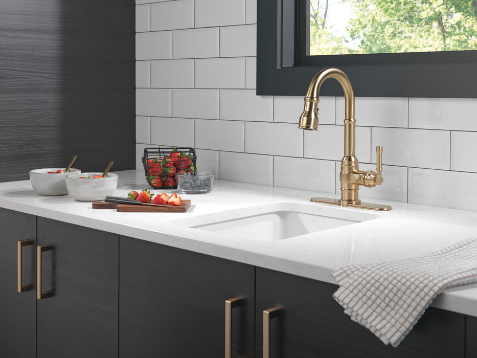 Delta Broderick: Single Handle Pull-Down Bar/Prep Faucet