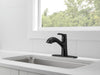 Delta Peerless Parkwood: Single Handle Pullout Kitchen Faucet