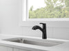 Delta Peerless Parkwood: Single Handle Pullout Kitchen Faucet