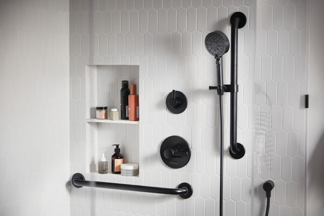 Peerless Precept: ADA hand shower