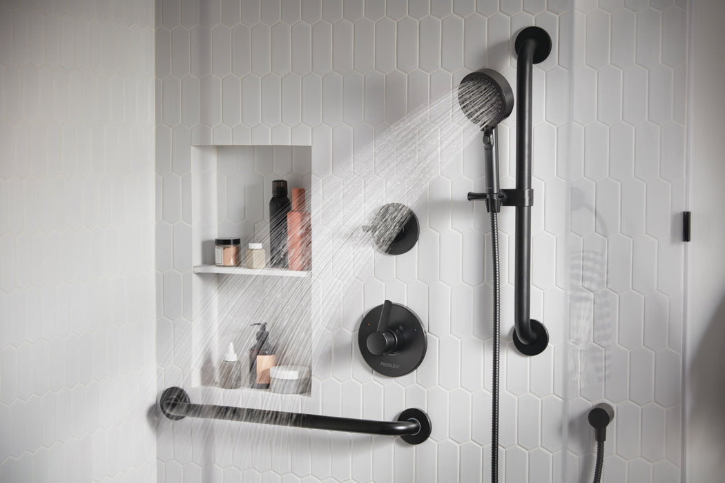 Peerless Precept: ADA hand shower