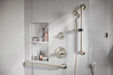 Peerless Precept PTT24447 ADA tub shower and hand shower