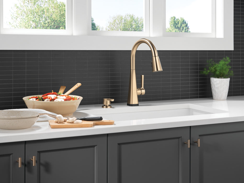 Delta Marca:RP100251CZ Soap/Lotion Dispenser