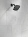 Delta Universal Showering Components RP64859BL Raincan Single-Setting Touch-Clean Shower Head