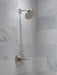 Delta Kayra™: Monitor 14 Series Shower Trim
