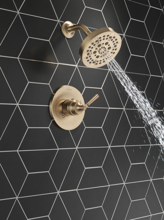 Delta Saylor: Monitor 14 Series Shower Trim