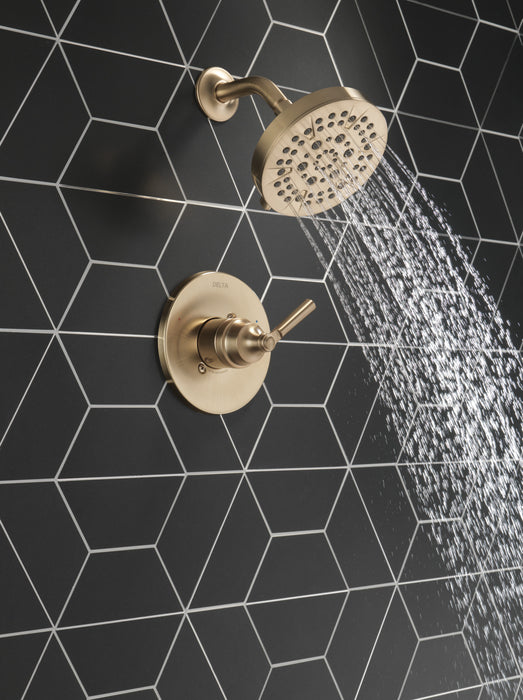 Delta Saylor: Monitor 14 Series Shower Trim