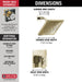 Delta Trillian T17243 17 Series H2Okinetic Shower Only Trim, lumicoat polished nickel - view 2