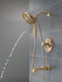 Delta Tetra T17489 17 Series Tub Shower Trim