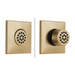 Delta Other: HydraChoice Square Body Spray Trim