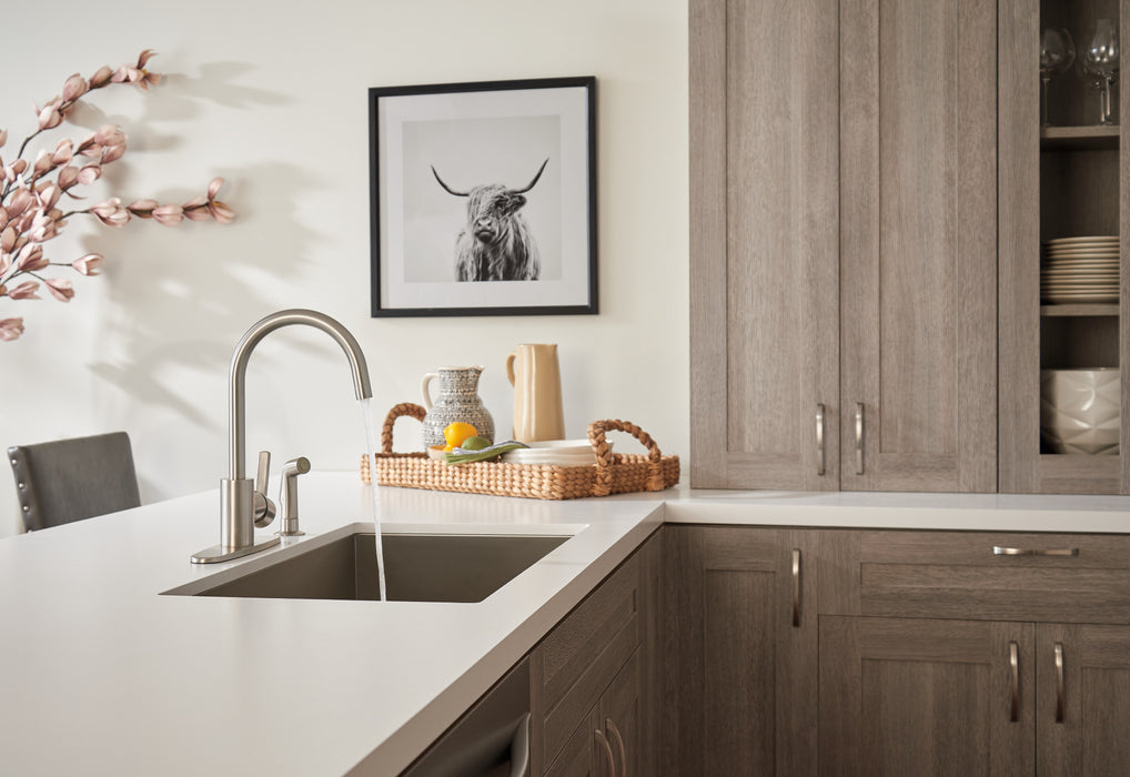 Delta Precept Single Handle Kitchen Faucet with Spray