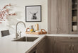Delta Precept Single Handle Kitchen Faucet with Spray