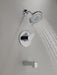 Delta Peerless Xander:PTT14419 Tub Shower MultiChoice
