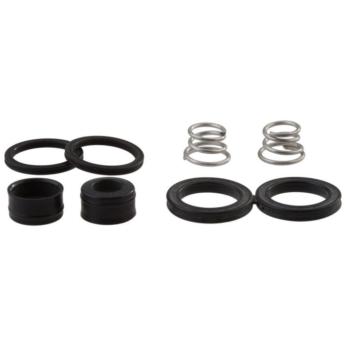 Delta RP28603 Seats, Springs & Quad Rings (2)