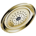 Delta Universal Showering Components RP48686SS Single-Setting Raincan Shower Head, Polished Brass
