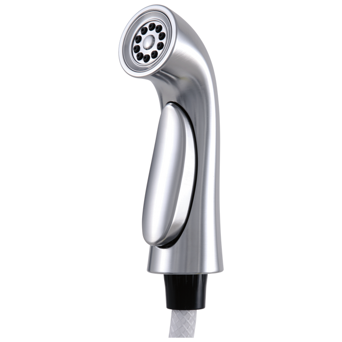 Delta Pilar RP53880 Side Spray & Hose Assembly, Arctic Stainless