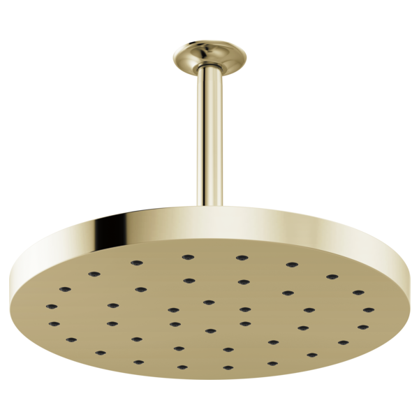 Delta Shower Arm and Flange - Ceiling Mount