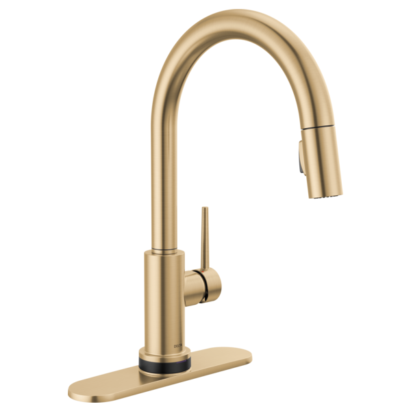 Delta Trinsic:RP64070 Escutcheon & Gasket - 8"