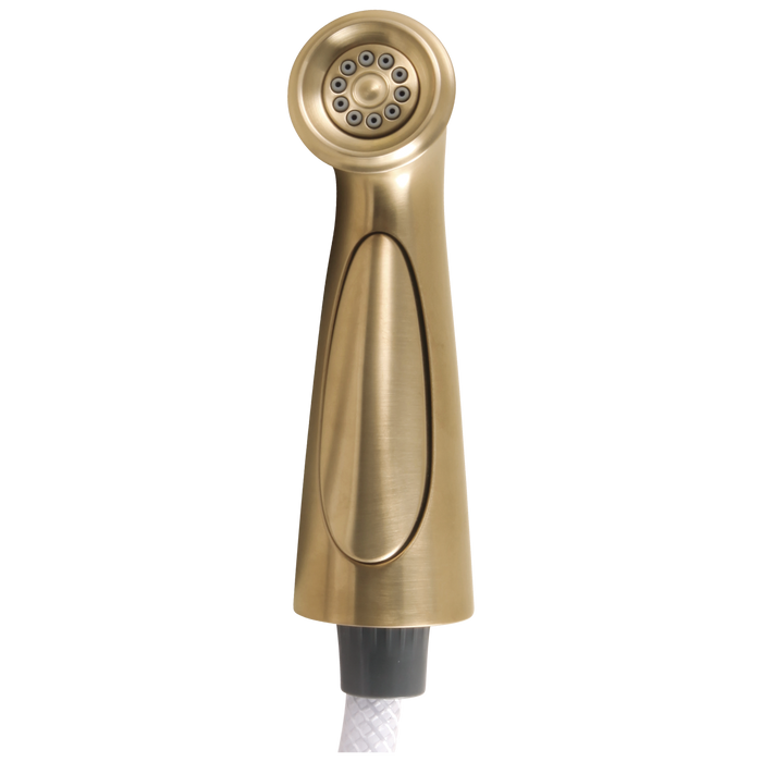 Delta Cassidy RP72751CZ Side Spray & Hose Assembly, Champagne Bronze