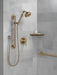 Delta Trinsic:RP73384 Single-Setting Hand Shower