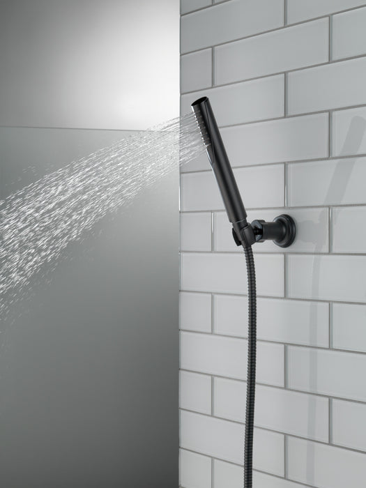Delta Trinsic:RP73384 Single-Setting Hand Shower