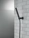 Delta Trinsic:RP73384 Single-Setting Hand Shower