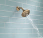 Delta Universal Showering Components:RP78575 5-Setting Raincan Shower Head
