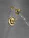 Delta Classic T13220 Monitor 13 Series Shower Trim, polished brass - view 2