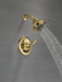 Delta Classic T13220 Monitor 13 Series Shower Trim, polished brass - view 4
