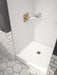 Delta Dryden T14251 Monitor 14 Series Shower Trim