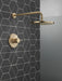 Delta Modern T14269 Monitor 14 Series Shower Trim