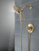 Delta Saylor: Monitor 17 Series Shower Trim with In2ition