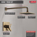 Delta Vero T17253 Monitor 17 Series Shower Trim, Champagne Bronze